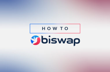 liquidity provider su Biswap